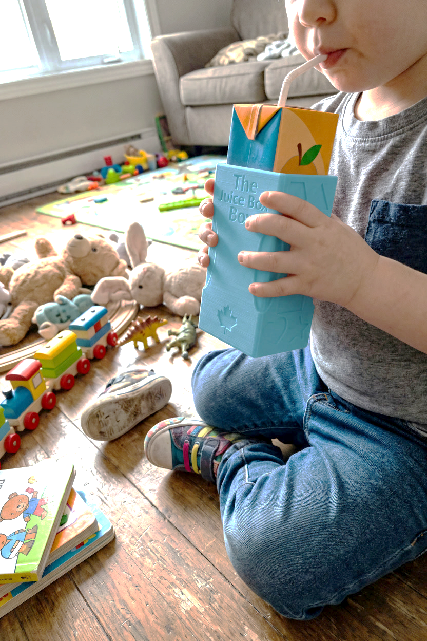 The Juice Box Box 2-Pack | The Simple Fix for Juice Box Spills